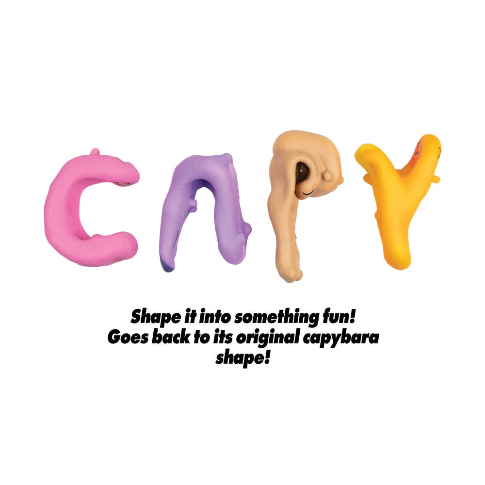 CAPYBARA TOY 12/DSP