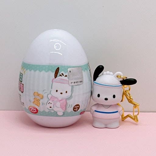 Sanrio Cute Pochacco Figure Key Ring Random Capsule BOX