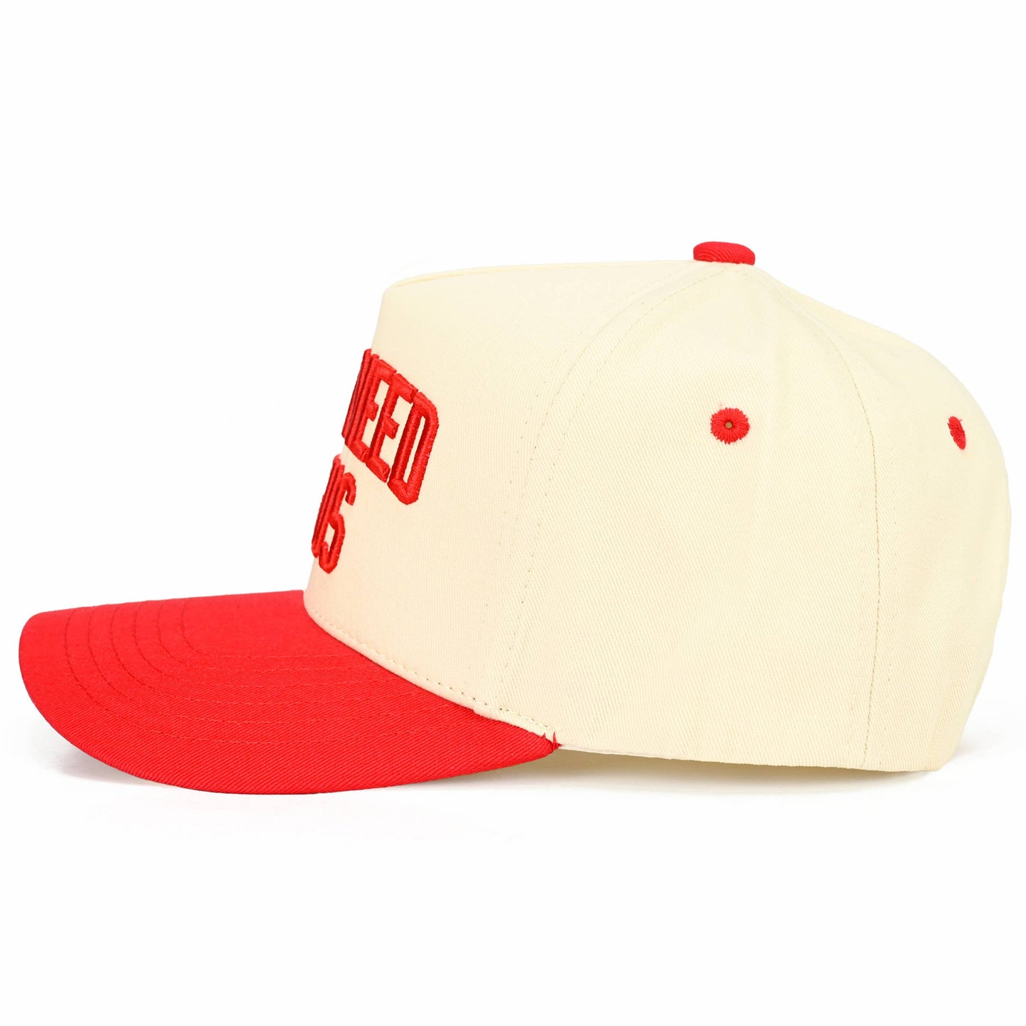C.C Y'ALL NEED JESUS Embroidered Letter Two Tone Trucker Hat: Beige