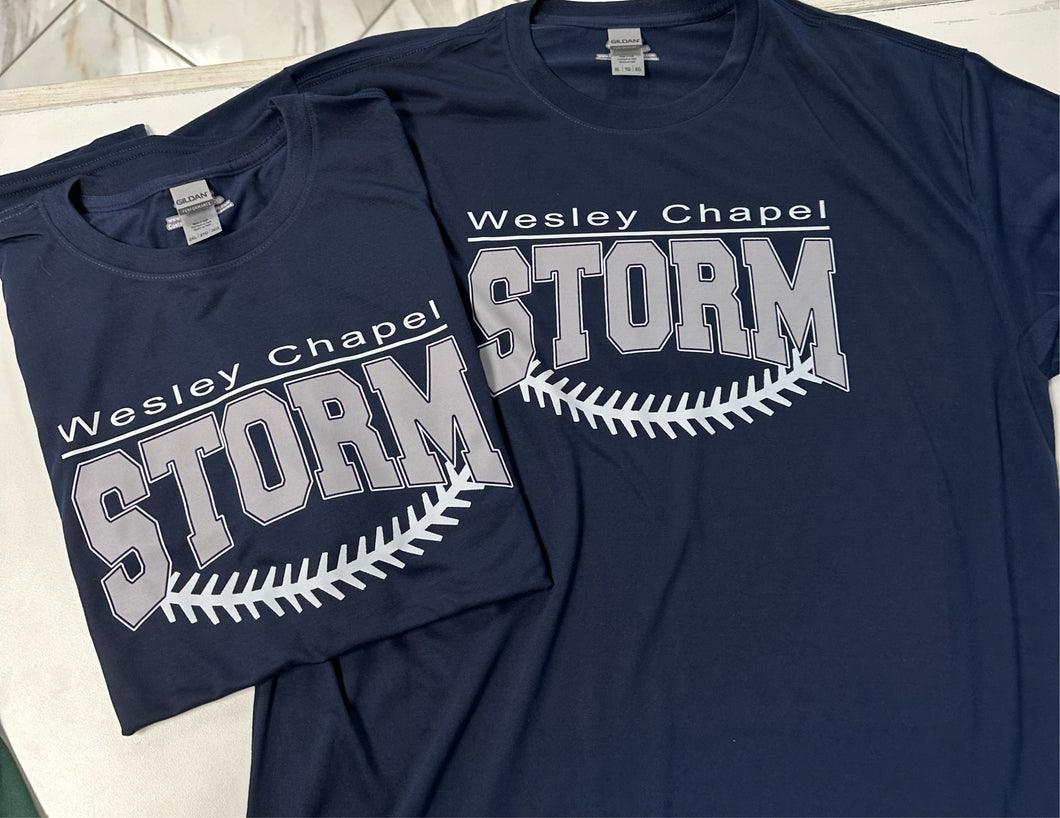 Wesley Chapel Storm